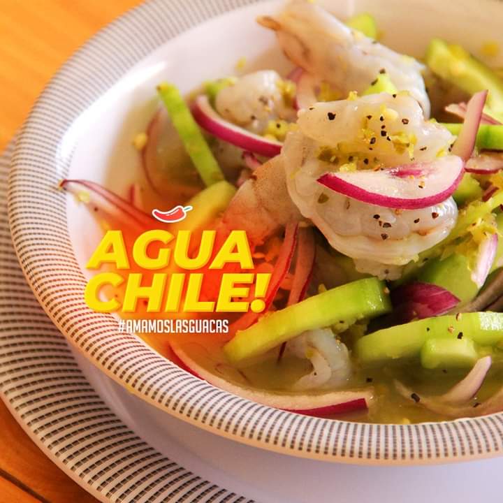 agucachile2